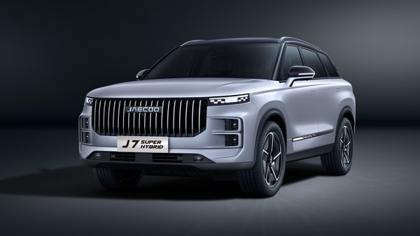 MOONLIGHT SILVER / CZARNY DACH